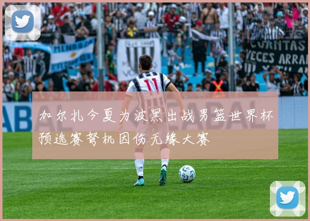 加尔扎今夏为波黑出战男篮世界杯预选赛弩机因伤无缘大赛
